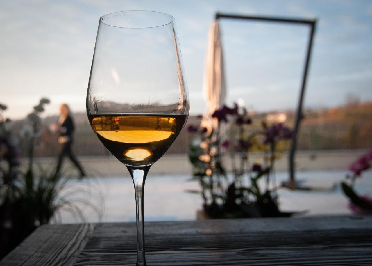 Klanjscek Wine&Stay Gorizia Bagian luar foto